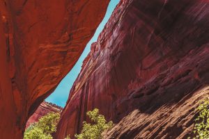 Burr Trail Road, site of Long Canyon.