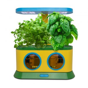 Herbie indoor veggie herb and flower garden from AeroGarden