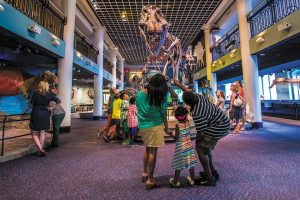 Academy of Natural Sciences of Drexel University