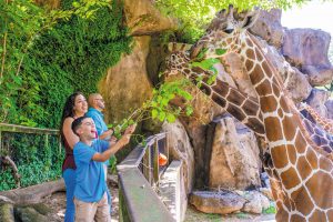 Founded in 1859 as America’s first zoo, today the Philadelphia Zoo provides a home for nearly 1,300 animals on its 42-acre campus.