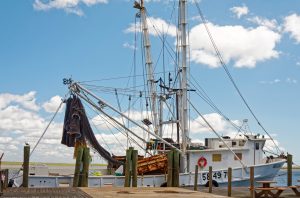 Shrimp boats are common sights along the Apalachicola River in the Florida Panhandle, and nearby markets sell fresh seafood.