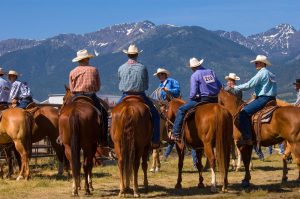 Cowboys and their steeds gather at the Haines Stampede rodeo.