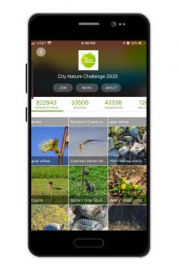 The iNaturalist app helps participants to find projects of interest based on location and a wide variety of topics.