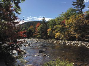 One can almost hear the water coursing over the rocks in this image by Donna Vinogroski, which she took at a turnoff along the Kancamagus Highway in New Hampshire’s White Mountains National Forest