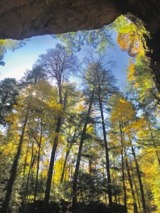 Last October, Rea and Kaci King encountered beautiful fall foliage in southeastern Ohio at Hocking Hills State Park. 