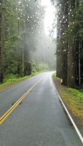 Who can’t put themselves in the copilot’s seat in this photo taken by Louise Birdashaw along Oregon’s Pacific Coast Highway?