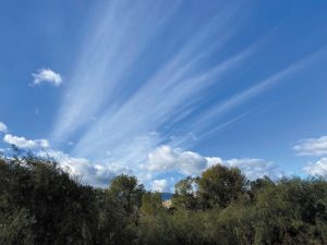 Canadians Rob and Iris Dunham enjoyed this view during an October stay in Oliver, British Columbia, their so-called “2020 snowbird destination” when the U.S.-Canadian border closure prevented them from traveling south. 