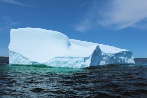 Jim and Beverly Rowalt experienced firsthand the majesty of an iceberg off the coast near St. Anthony in the province of Newfoundland and Labrador.