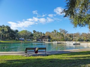 De Leon Springs State Park is located along the Great Florida Birding and Wildlife Trail.