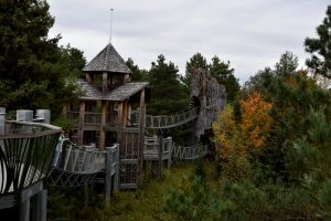 The Wild Center’s elevated Wild Walk leads to the “snag,” a replica of a hollowed-out white pine tree.