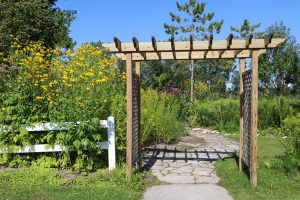 At Barkhausen Waterfowl Preserve, nine miles of hiking trails wind through various terrain.