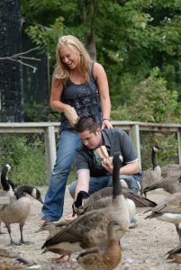 Wildlife abounds at Bay Beach Wildlife Sanctuary.