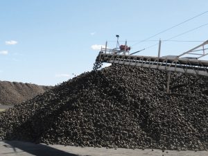 A piler offloads sugarbeets via a conveyor.
