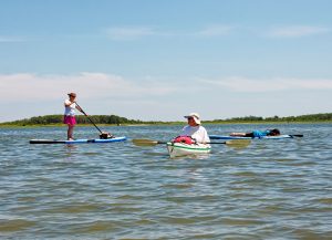 Enjoying the waters of Sinepuxent Bay.