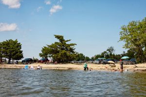 Sinepuxent Bay borders Assateague Island on the west.