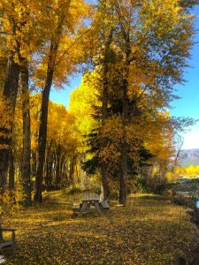 Westerly RV Park provides access to the Million Dollar Highway, which starts in nearby Durango.