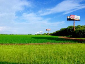 Burma-Shave signs helped launch today’s billboard business.