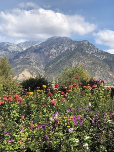 One of the places Jeff and Denise Del Favero of Turtle Express RV Life have explored is Mona, Utah.