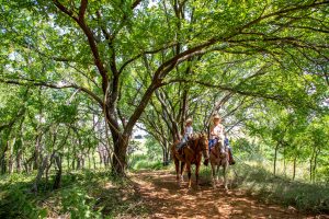 Foss State Park in western Oklahoma offers many amenities, including horse riding trails.