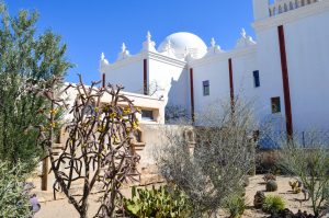 Native plants fill the mission’s courtyard.