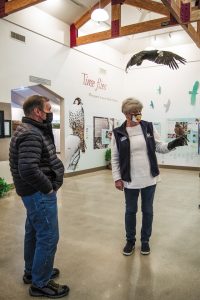 The World Center for Birds of Prey spotlights kestrels and other raptors.