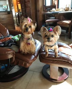 Mona and Tim Ashmore’s “travel princesses,” Maddie and Layla, look as pretty as a picture while posing in the couple’s RV. 