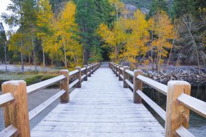 An October frost on this bridge signaled that winter was not far off when Kirby Ehler explored the Yosemite Valley in Yosemite National Park.