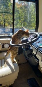 Mona and Tim Ashmore’s “travel princesses,” Maddie and Layla, look as pretty as a picture while posing in the couple’s RV. 2. Lizzy, who travels with Dave and Nancy Sarley, takes a turn at chauffeur duty when their Holiday Rambler Admiral is parked at a Pennsylvania rest area. 