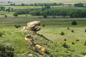 Rock outcroppings from an ancient sea along the Smoky Valley Scenic Byway.