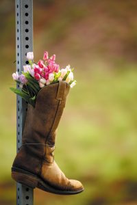 A fun Western touch on the Gypsum Hills Scenic Byway.