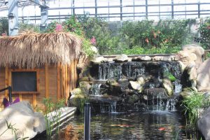 Ponds and small waterfalls create a tropical environment suited to butterflies.