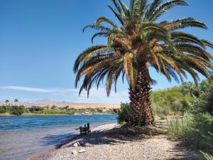 The Colorado River flowed past this idyllic spot discovered by Constance and Larry Jones in Bullhead City, Arizona.