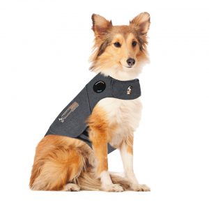 The ThunderShirt provides gentle reassurance when a dog is exposed to loud noises and other stressors.
