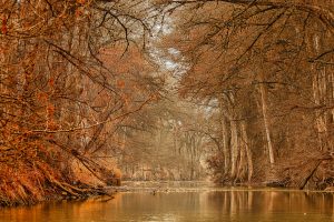A misty morning on the Medina River in Bandera.