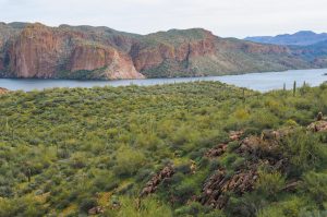 Reservoirs at Tonto National Forest provide abundant recreational opportunities.