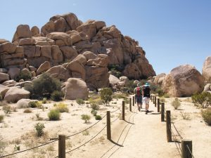 Giant boulders encountered along the Hidden Valley Trail.