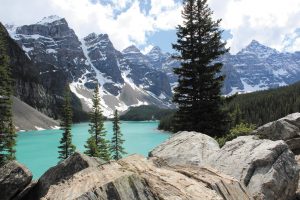 One of John and Judy Butler’s favorite stops during their motorhome journey to Alaska was Lake Moraine in Banff National Park, Alberta, which Judy captured in this stunning shot.