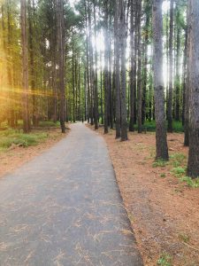 Roger Kern discovered peaceful surroundings along a walking trail in Little Rock, Arkansas. 