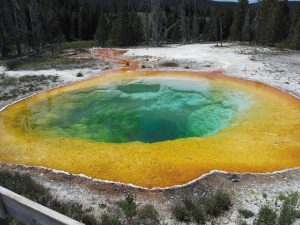 Park wonders include the Morning Glory Pool.