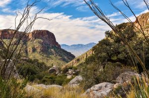 Coronado National Forest