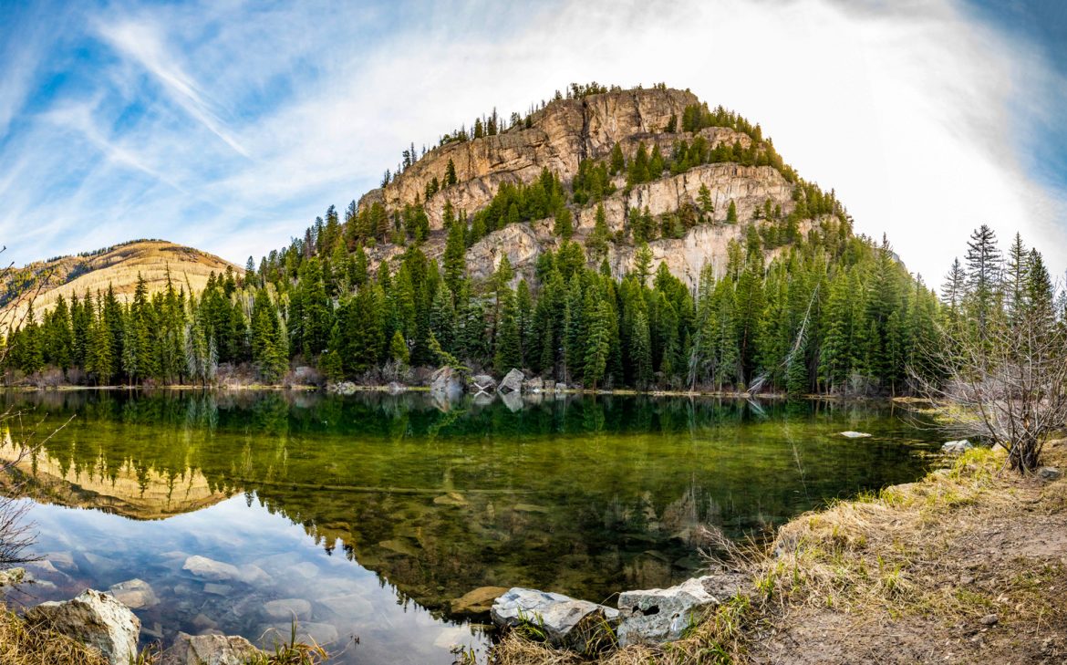 Livin’ The Life: May 2022