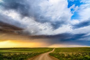 Medicine Bow-Routt National Forests And Thunder Basin National Grassland