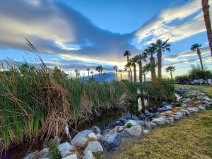 Donna Mollan visited the Salton Sea State Recreation Area in California and captured this scenic shot.