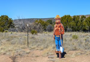 1. Ann Bush spied this Smokey Bear sign on a lonely road near the Capitan Mountains in New Mexico and couldn’t resist photographing her “favorite childhood hero.” 