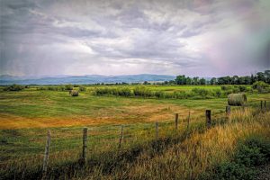 The Ambrosinos have traveled extensively throughout the U.S. and Canada.