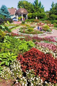 More than 30,000 annuals fill Sunken Gardens’ floral displays, and the design changes each year.