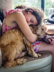 Shaggy and his friend Tierney enjoy a snuggle in the Fleetwood Discovery motorhome owned by William Dinser and Lydia Fortier.