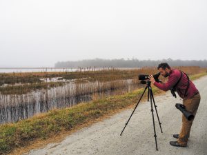The diverse ecosystem allows many opportunities to view and photograph local wildlife, especially different bird species.