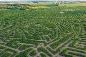 Stoney Brook Farms in Foley, Minnesota, has created what is likely the world’s biggest corn maze.