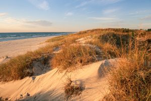 Sand dunes along the shore of Lake Michigan at Kohler-Andrae State Park in Wisconsin.